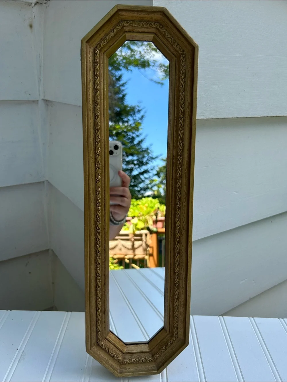 Vintage Mirror Gold Ornate Narrow Gallery Wall Scroll Edge Home Accent 18x5